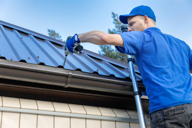 Best Storm Damage Roof Repair  in Toulon, IL