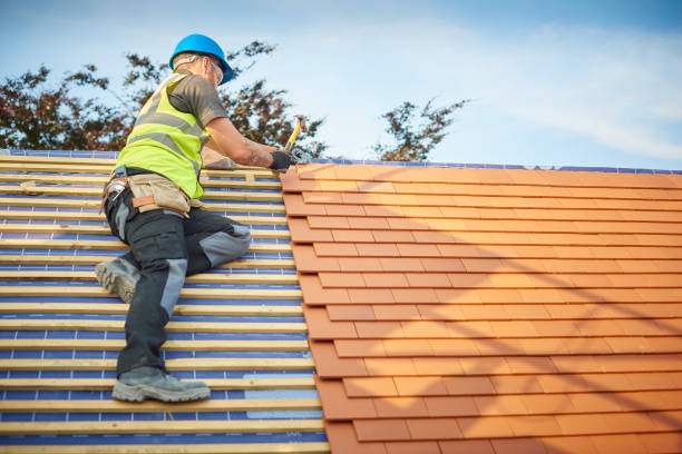Best 4 Ply Roofing  in Toulon, IL
